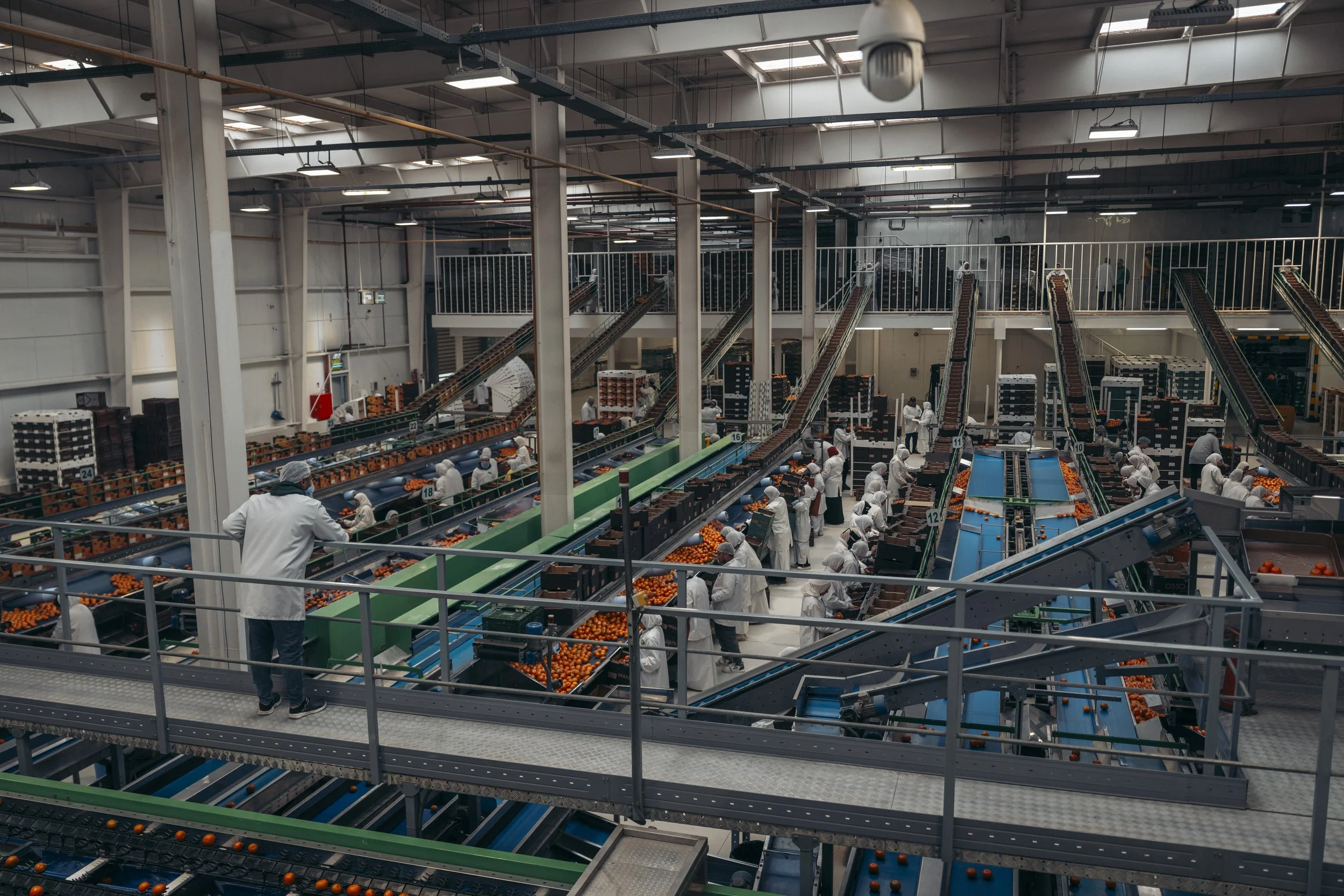 DPWorld-Egypt-Editorial-RM-0734.jpg