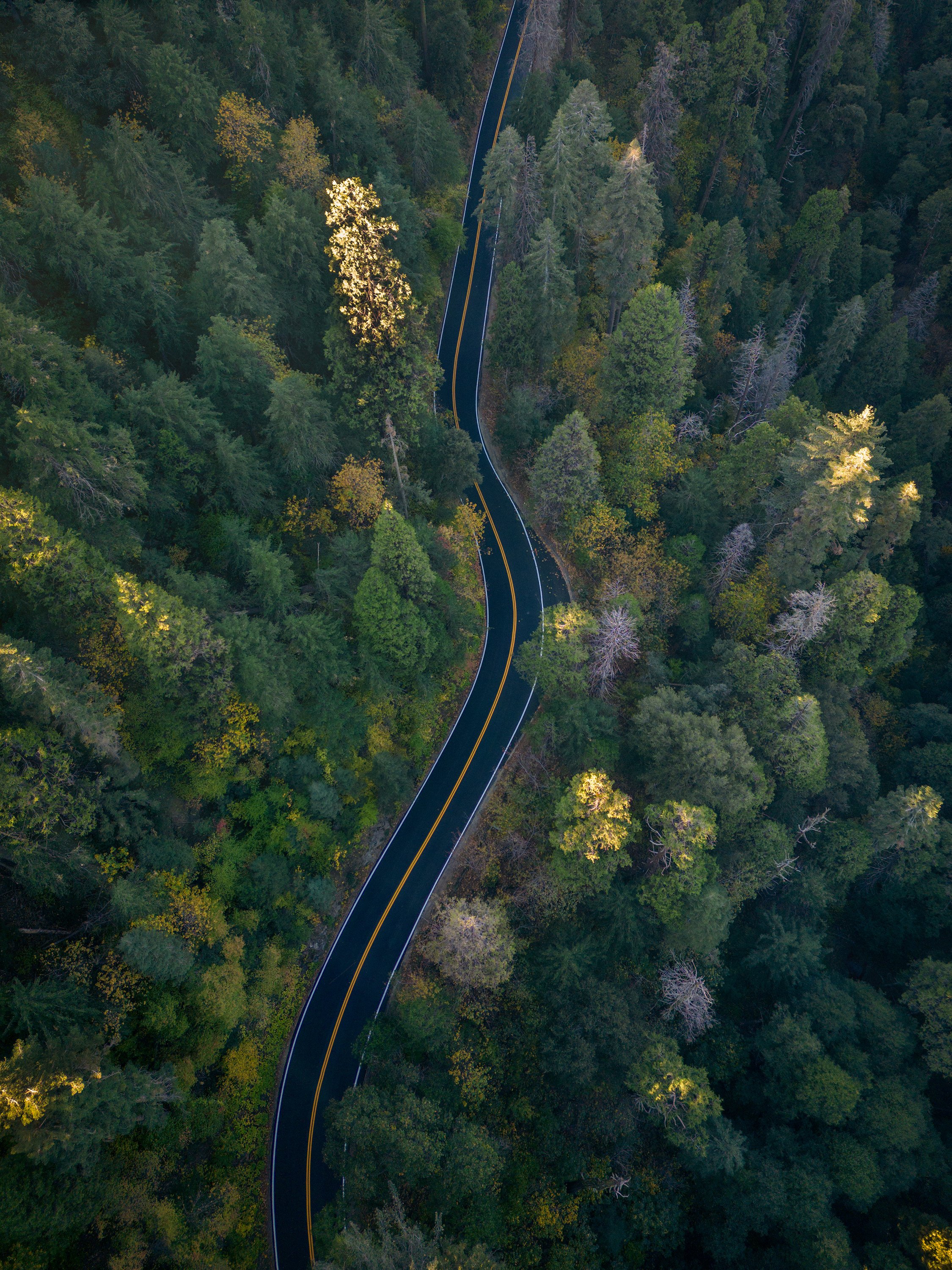 DJI_0078-smaller.jpg