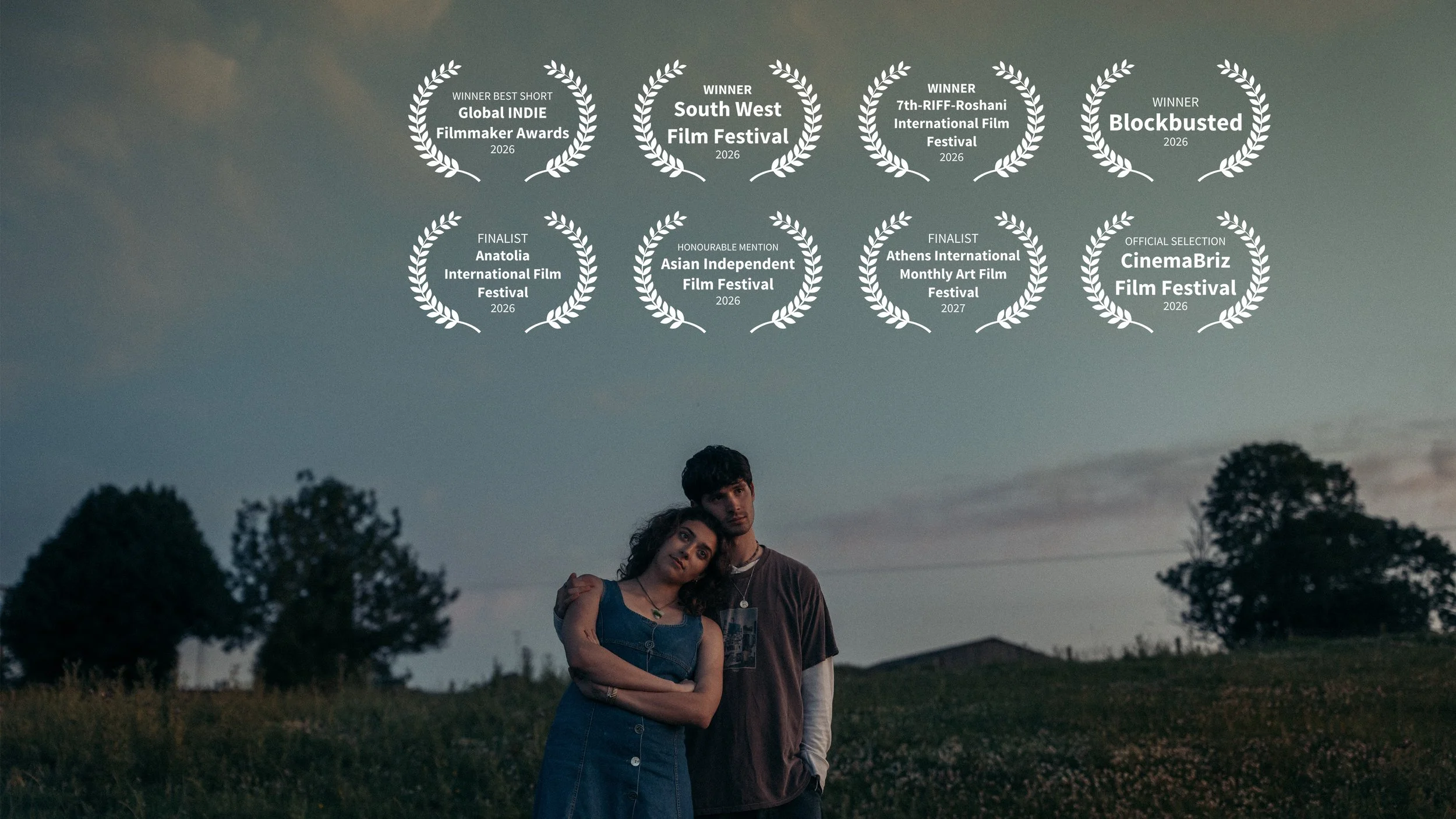 DLT-PosterFrame-website 03.jpg