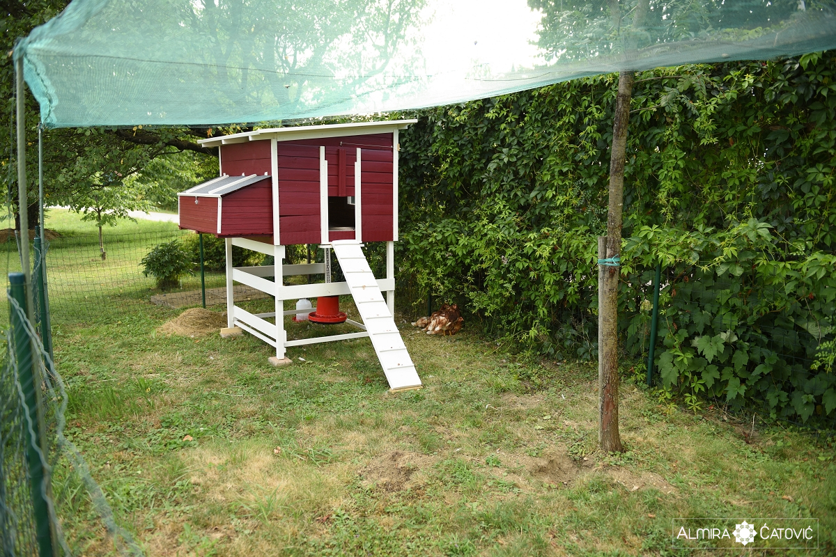 Almira-Catovic-House (15).jpg