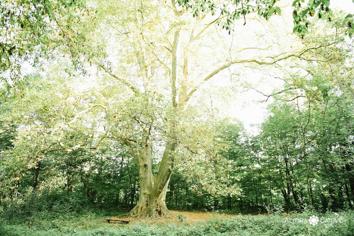 1 (46).jpg