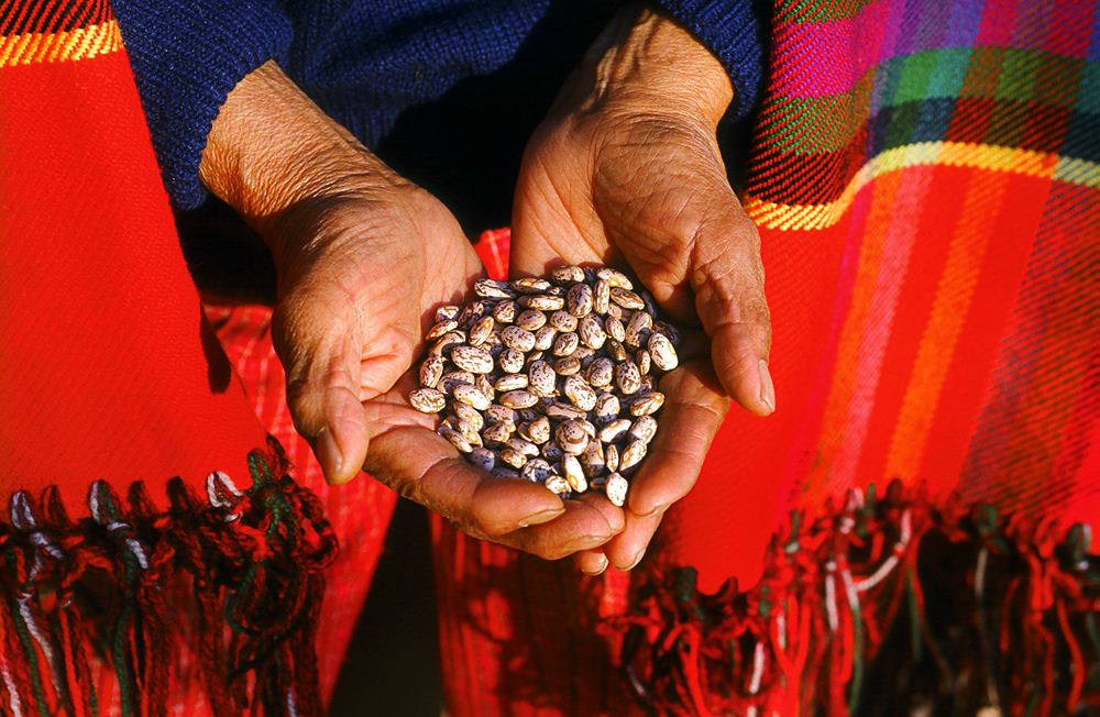 Hands-with-Beans.jpg