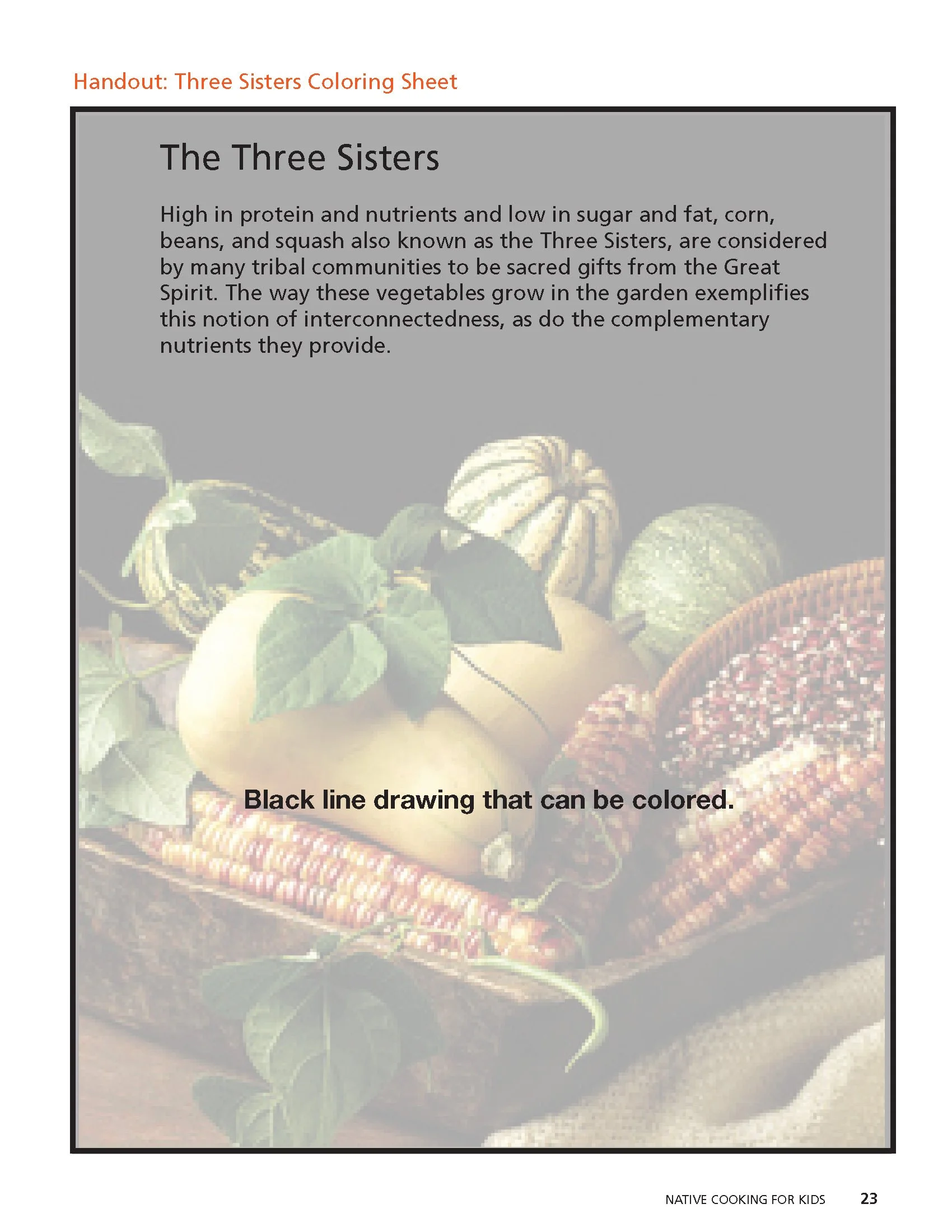 5 Week Curriculum – Native Cooking for Kids_Page_23.jpg