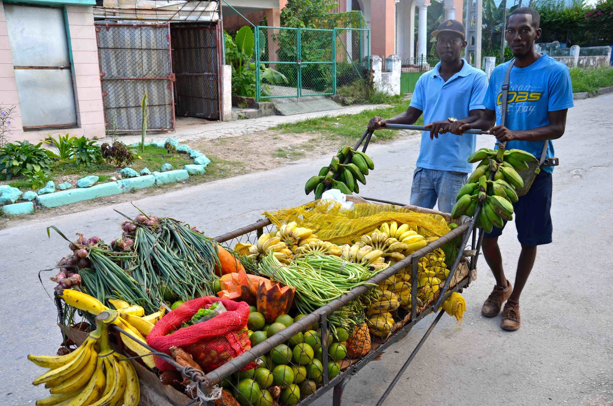 Cuba-U.S. Agroecology Network