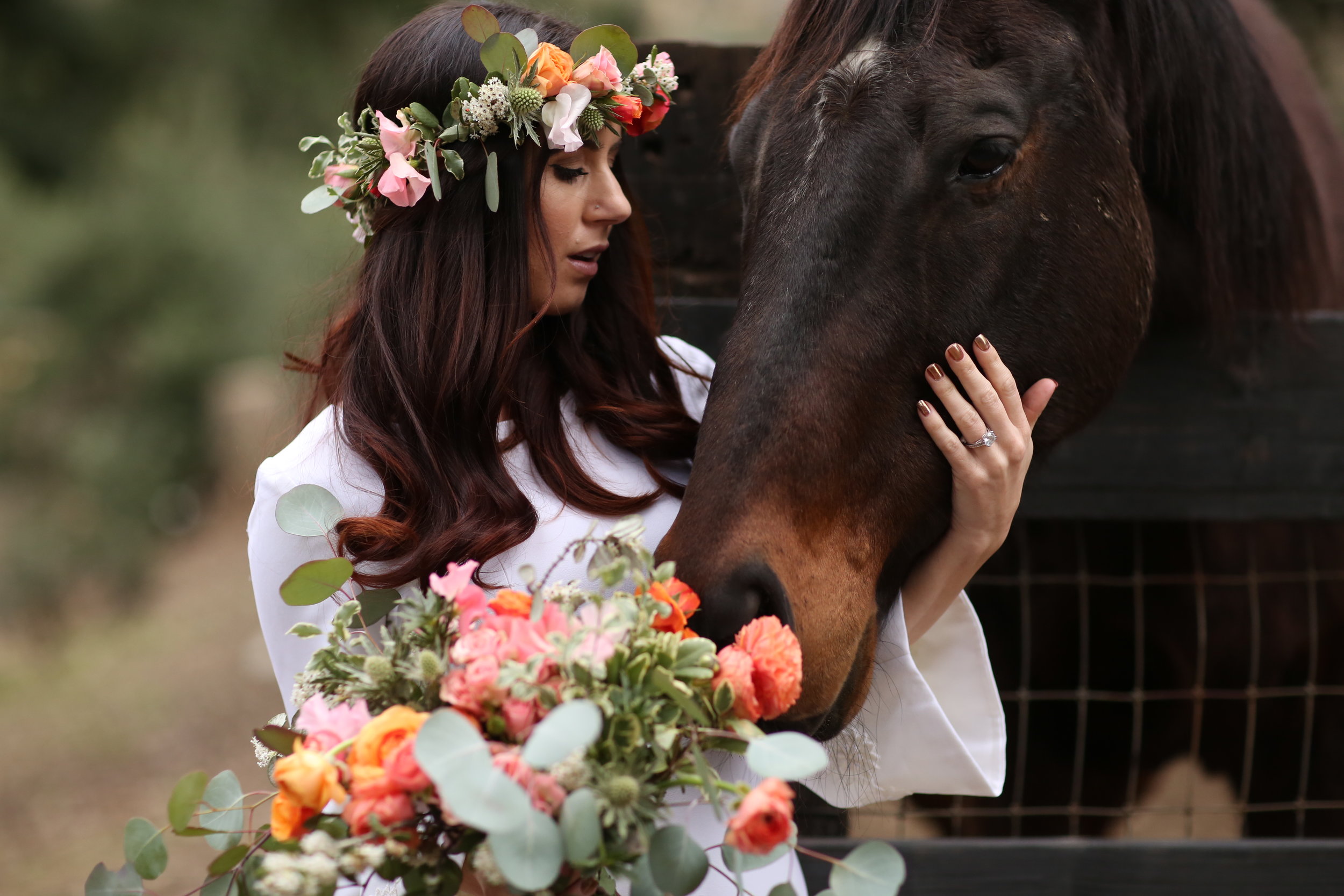 Boho bride with horse