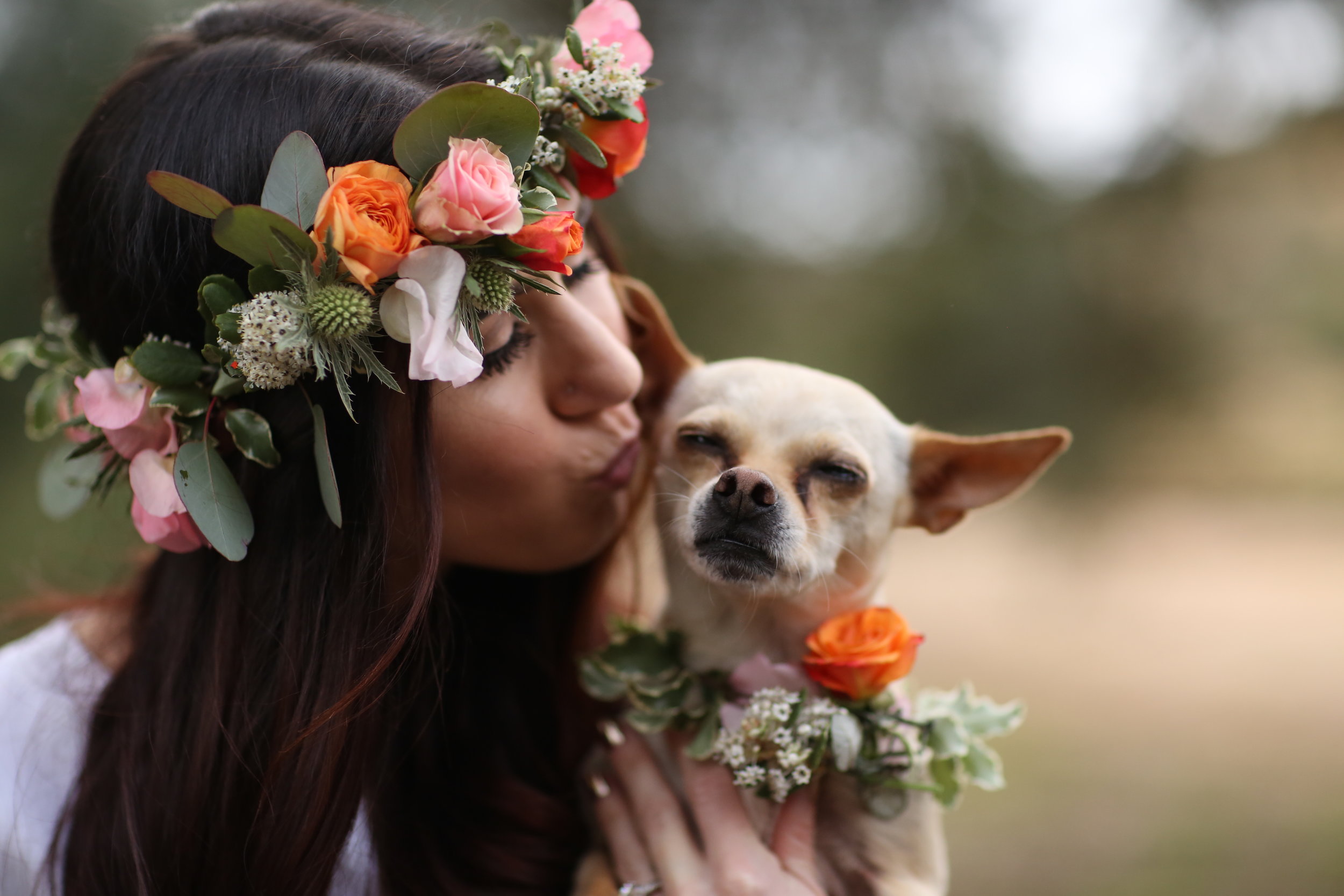 Bride with her Dog