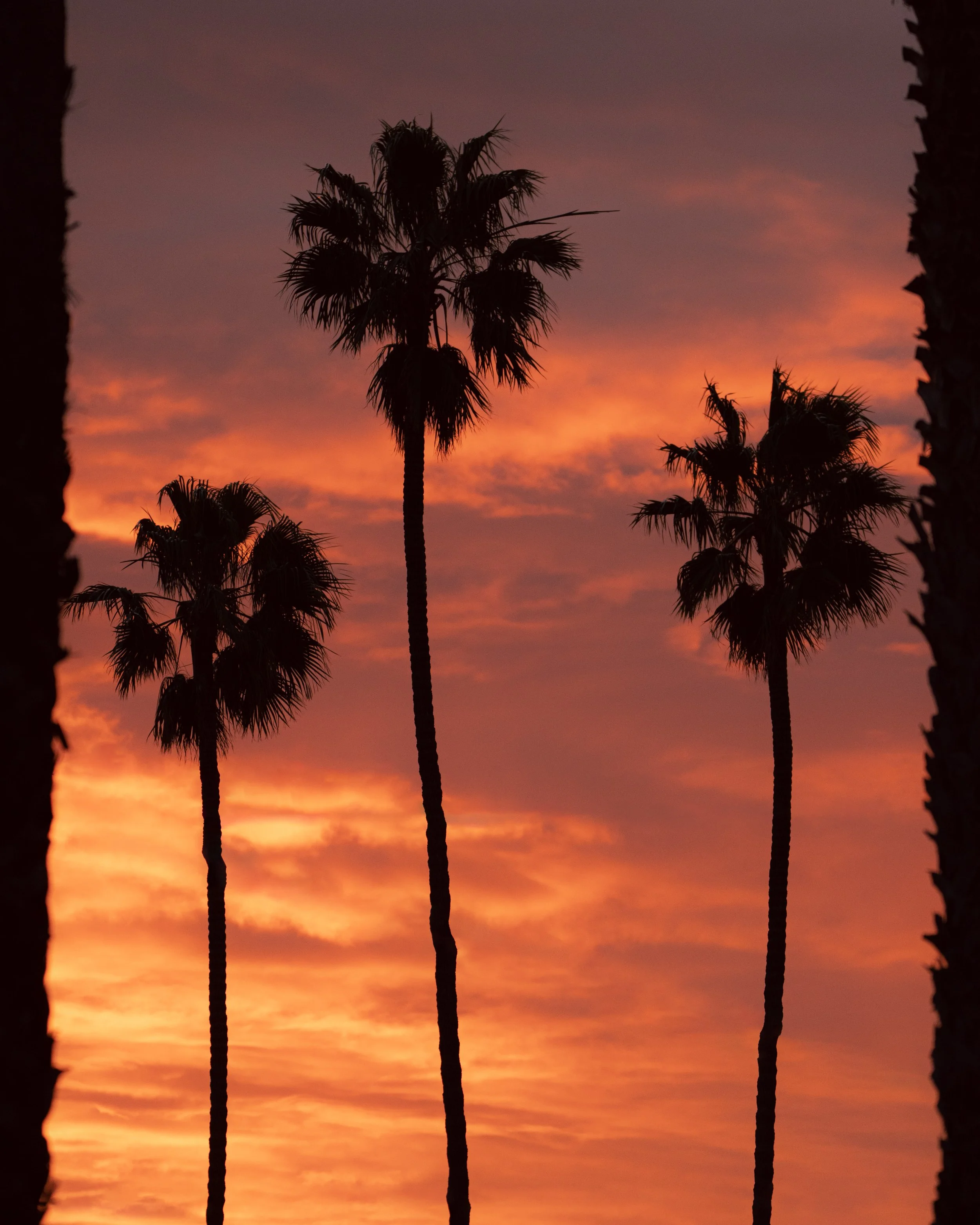 _DSC3343-Edit.jpg