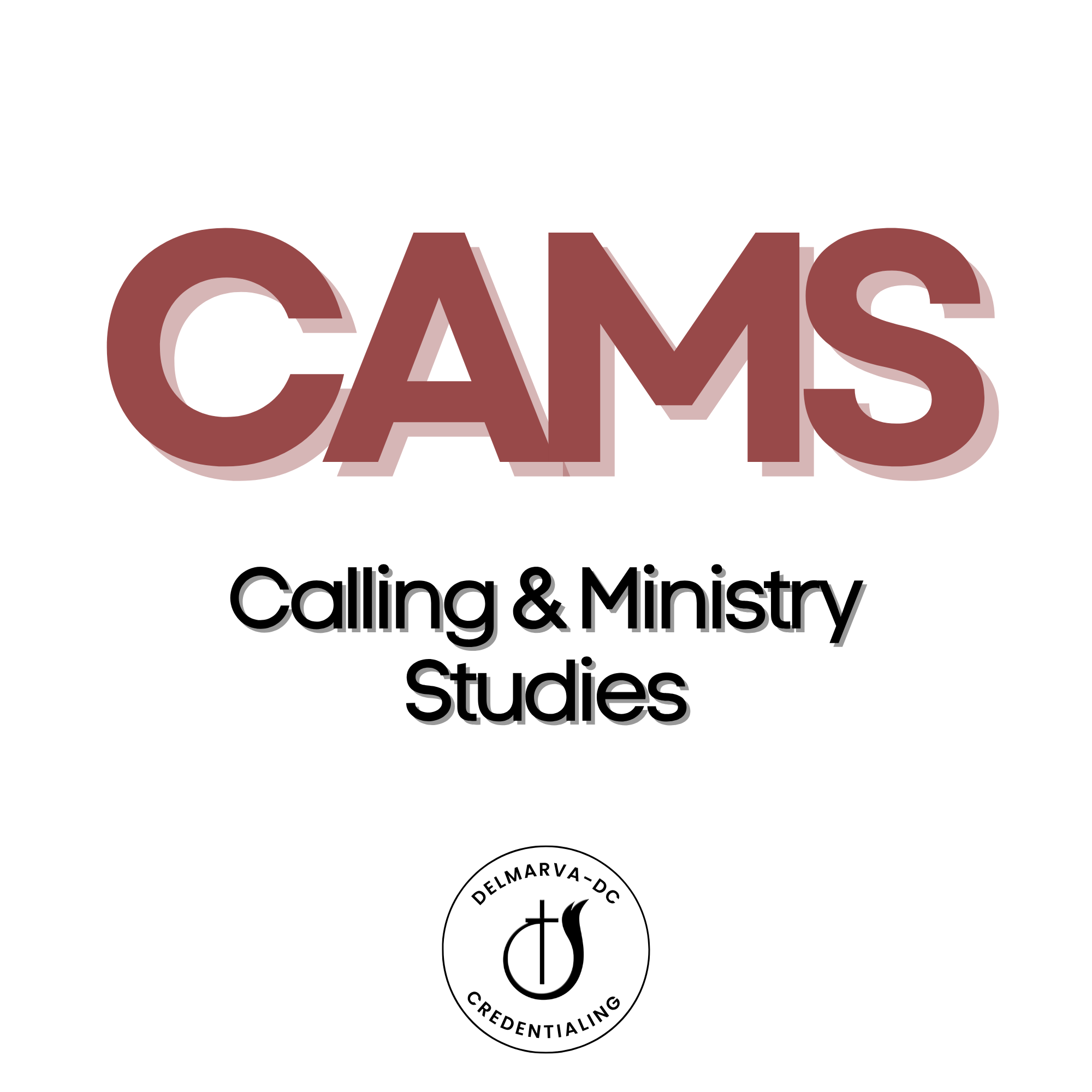 CAMS.png