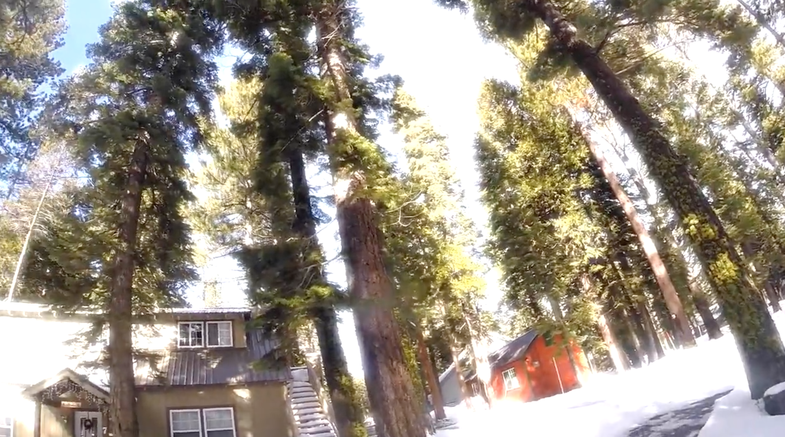 Homewood Mountain, Lake Tahoe