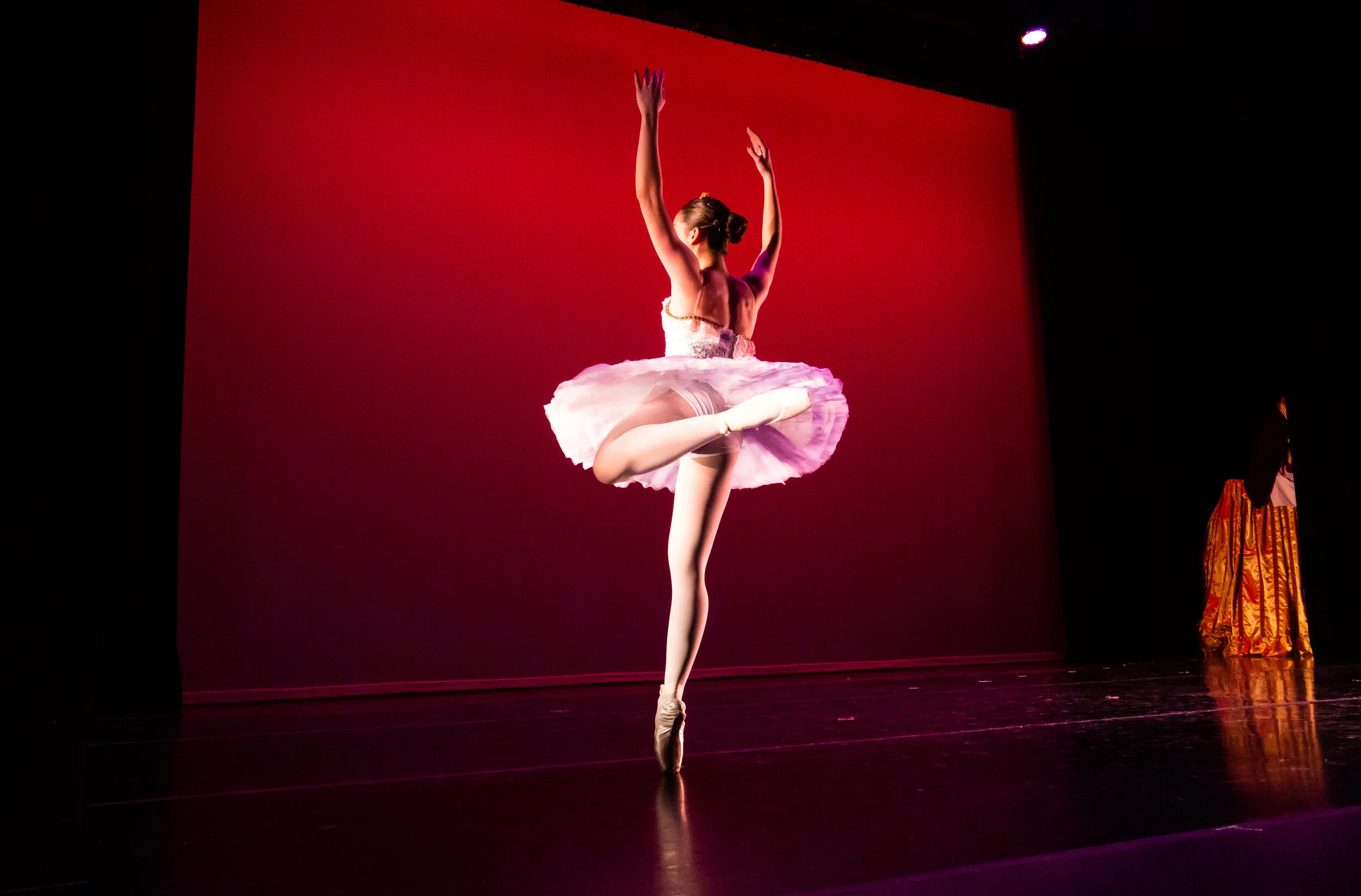Deerfield Academy-Nutcracker-Verlando-0337.jpg