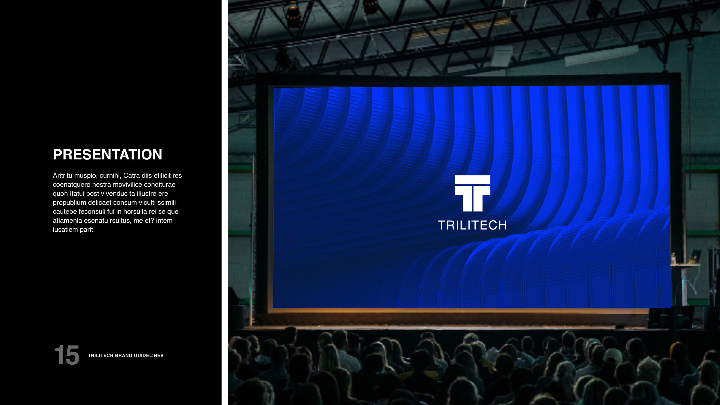 TriliTech_Guidelines_019.png