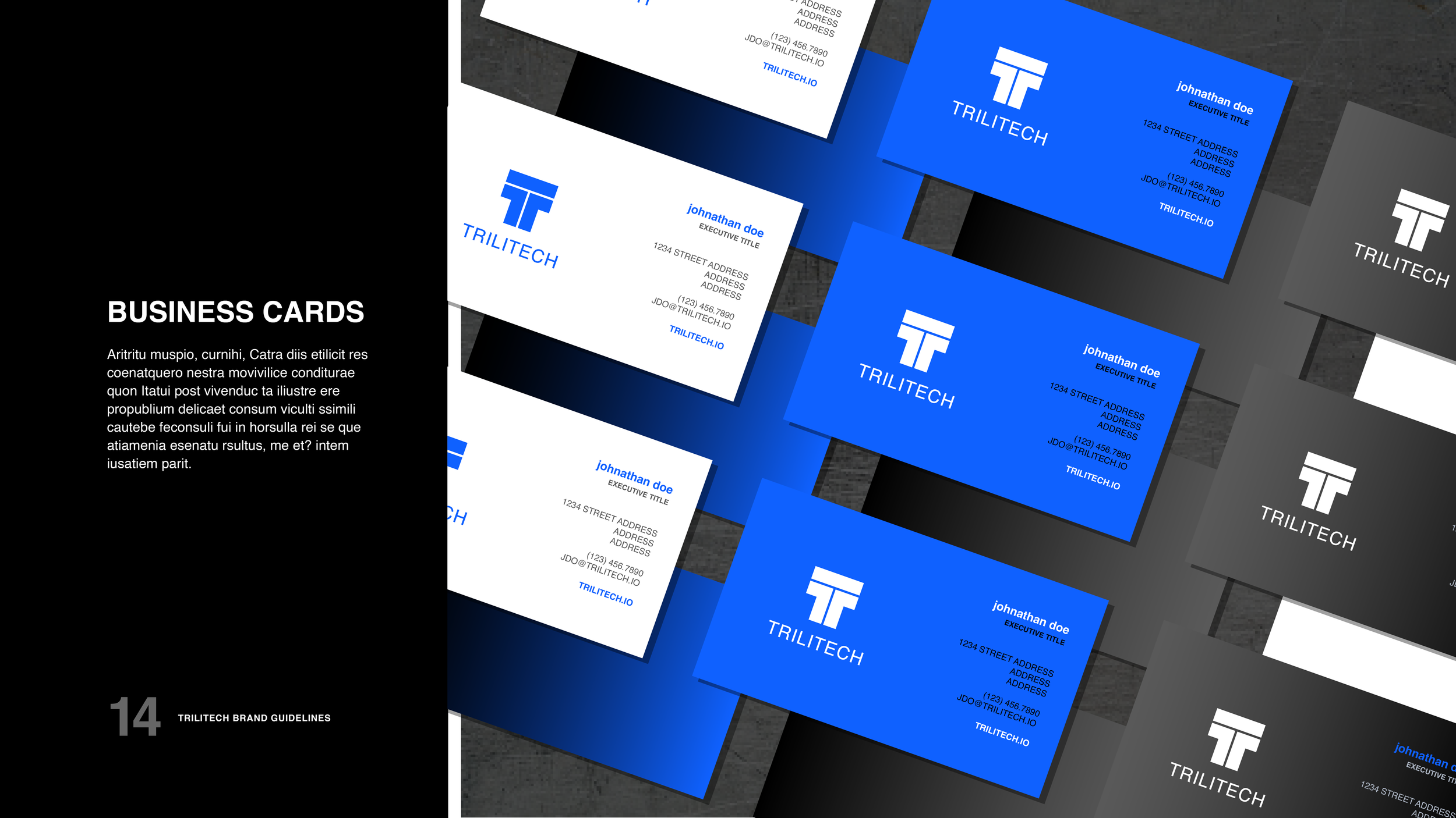 TriliTech_Guidelines_018.png