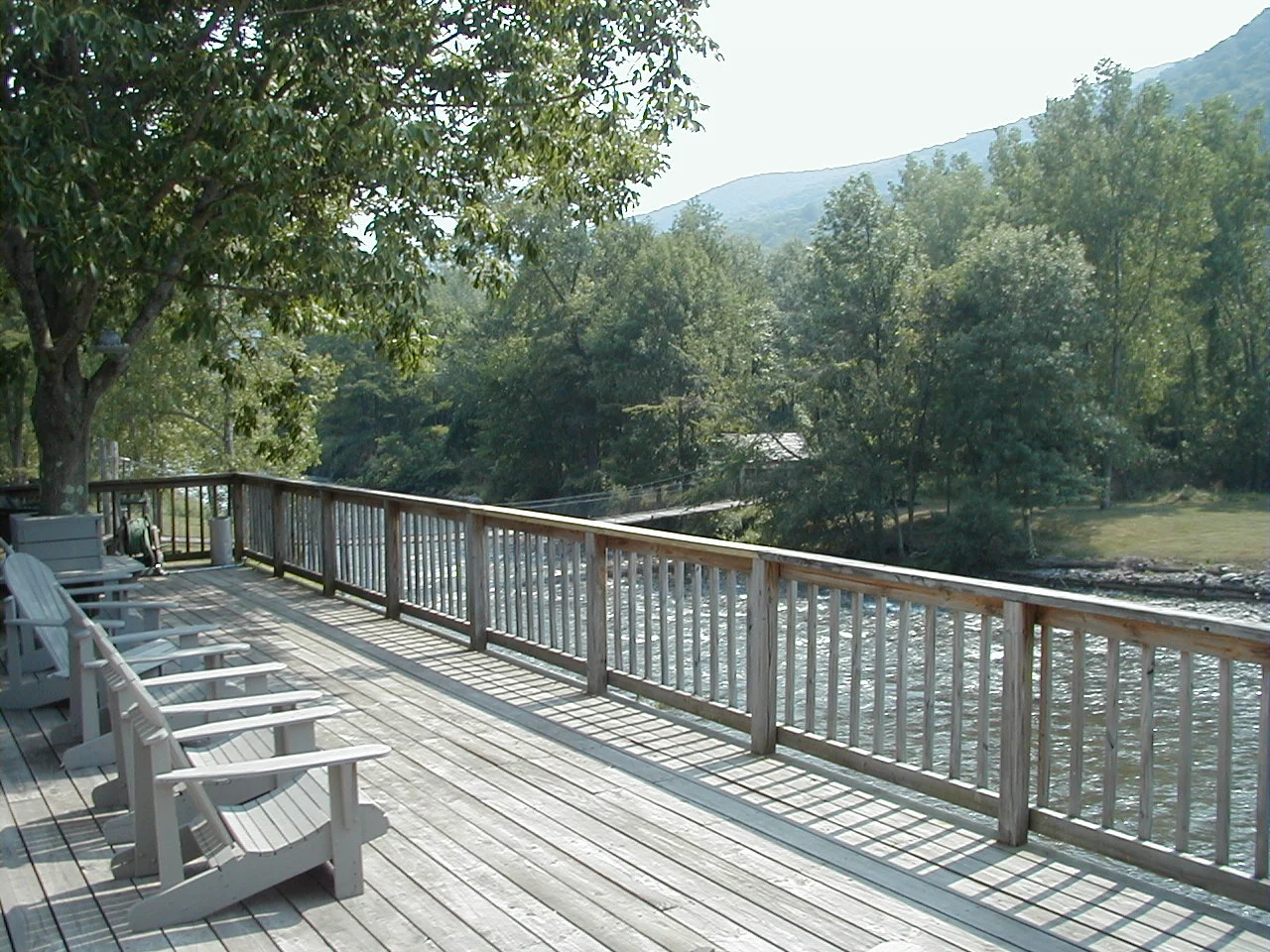 home page - 2.jpg
