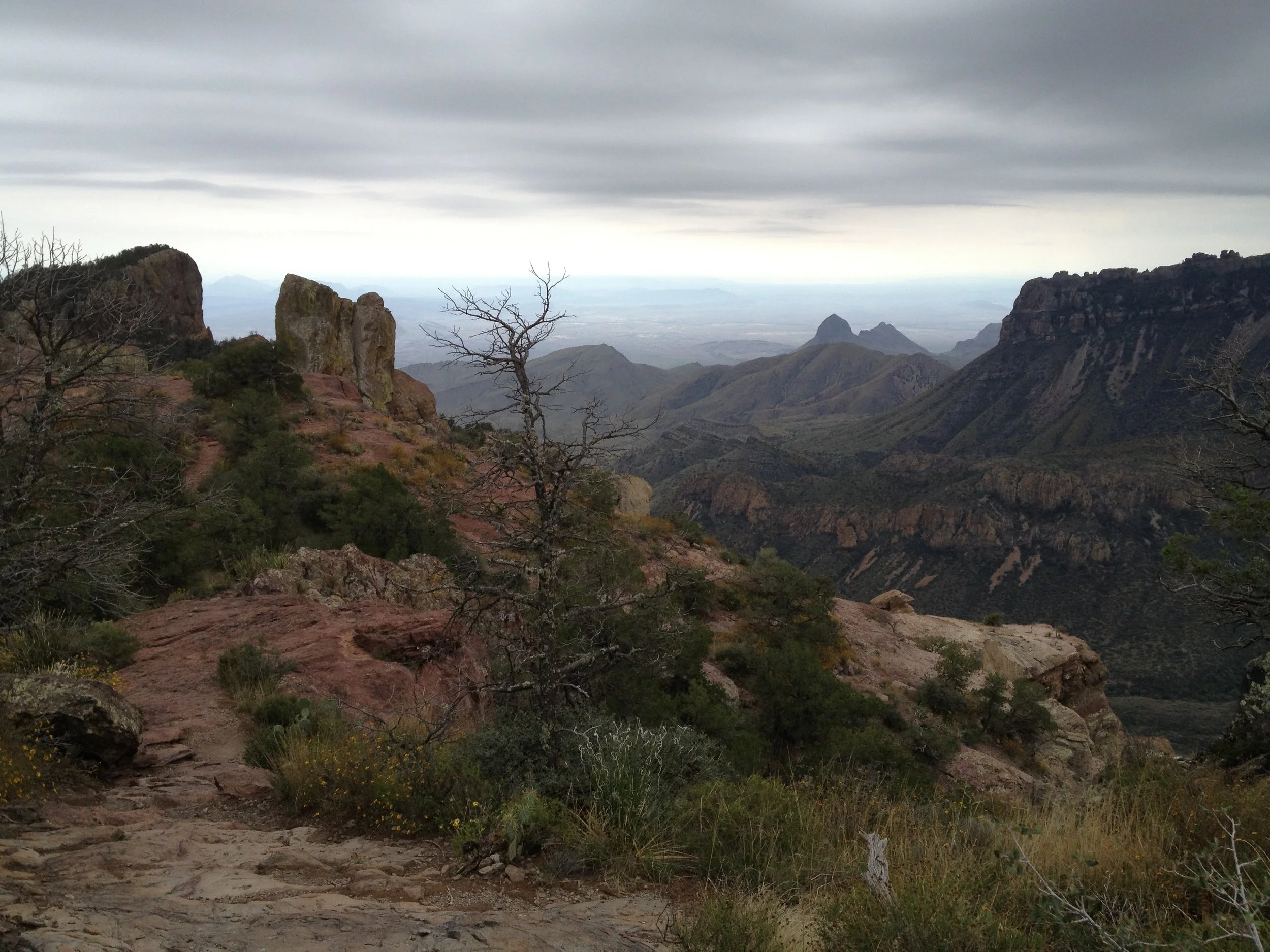 Discover Big Bend