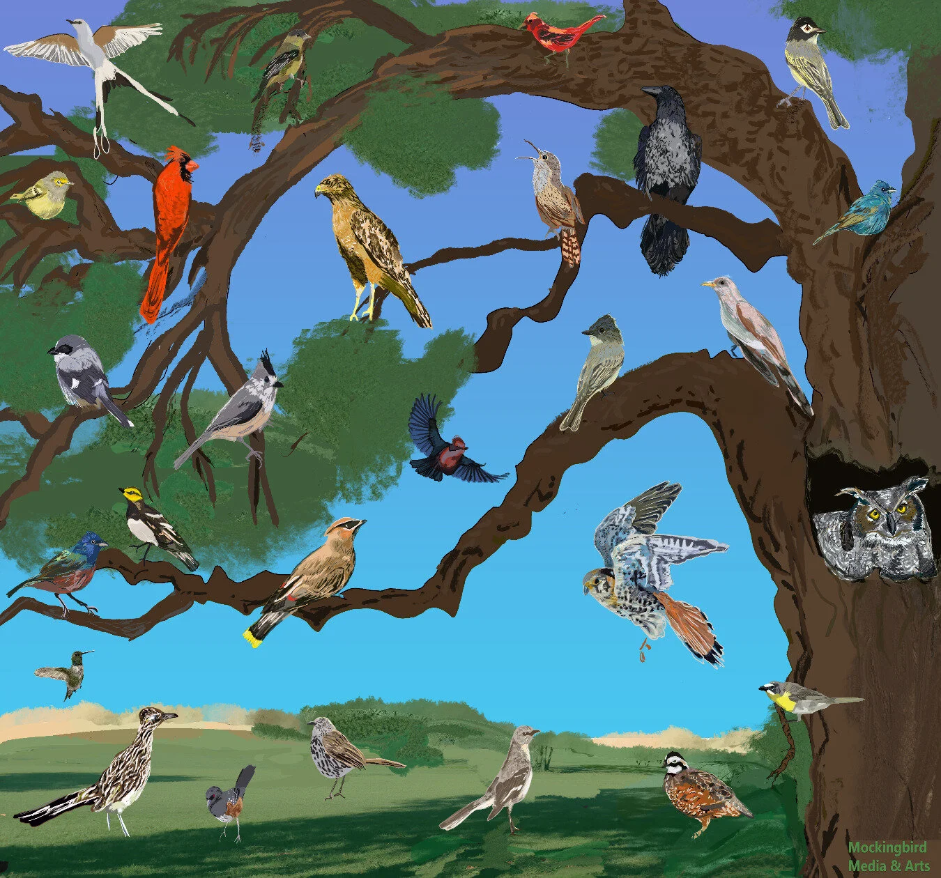 Birds.jpg