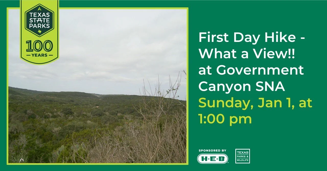 First Day Hikes -- What a View!