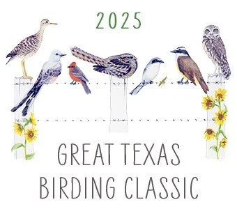 Big Sit-Great Texas Birding Classic