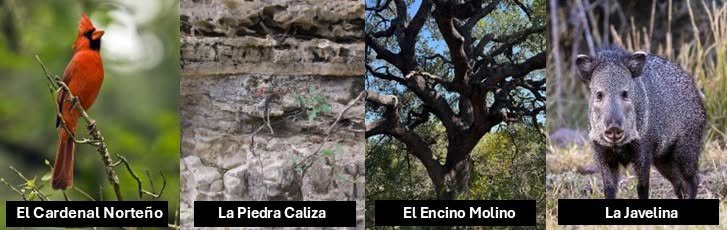 Lotería en el Parque