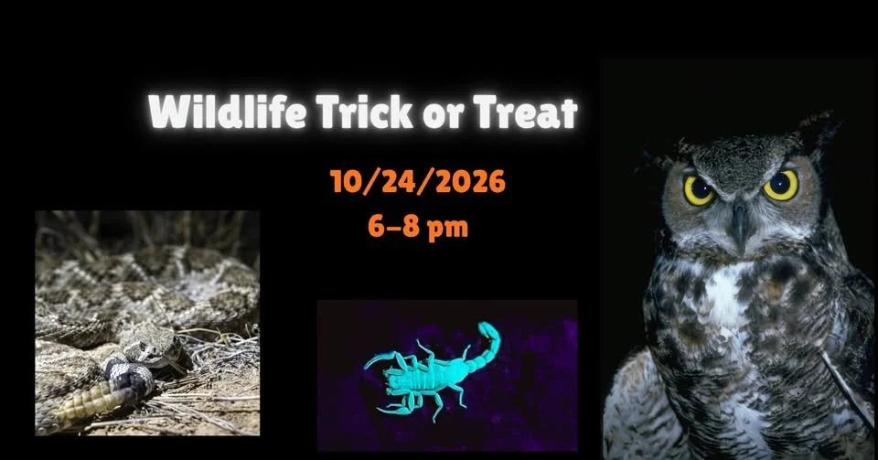 Wildlife Trick or Treat