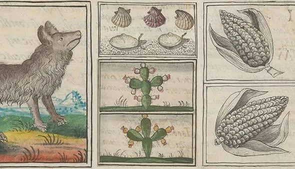 Indigenous People, Plants and Animals