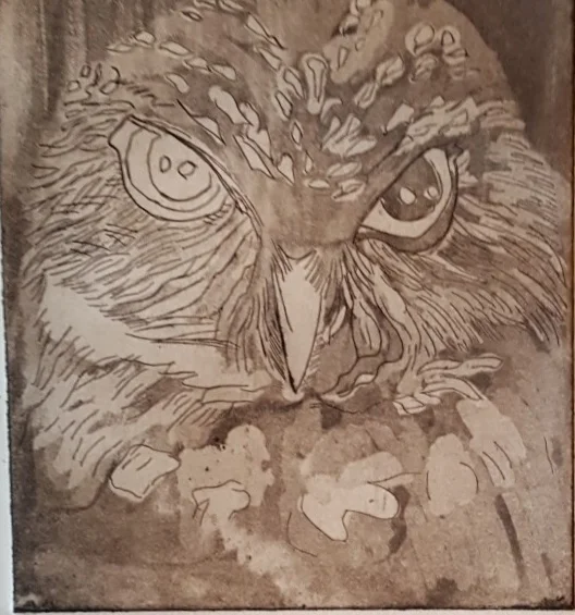 Owl - Lithograph by Nancy Wederstrandt ( Clare)
