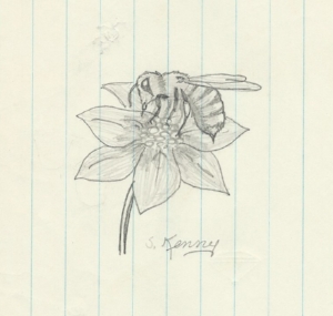 Honey Bee , pencil on paper, circa 1969, signature added by my mother at a later date