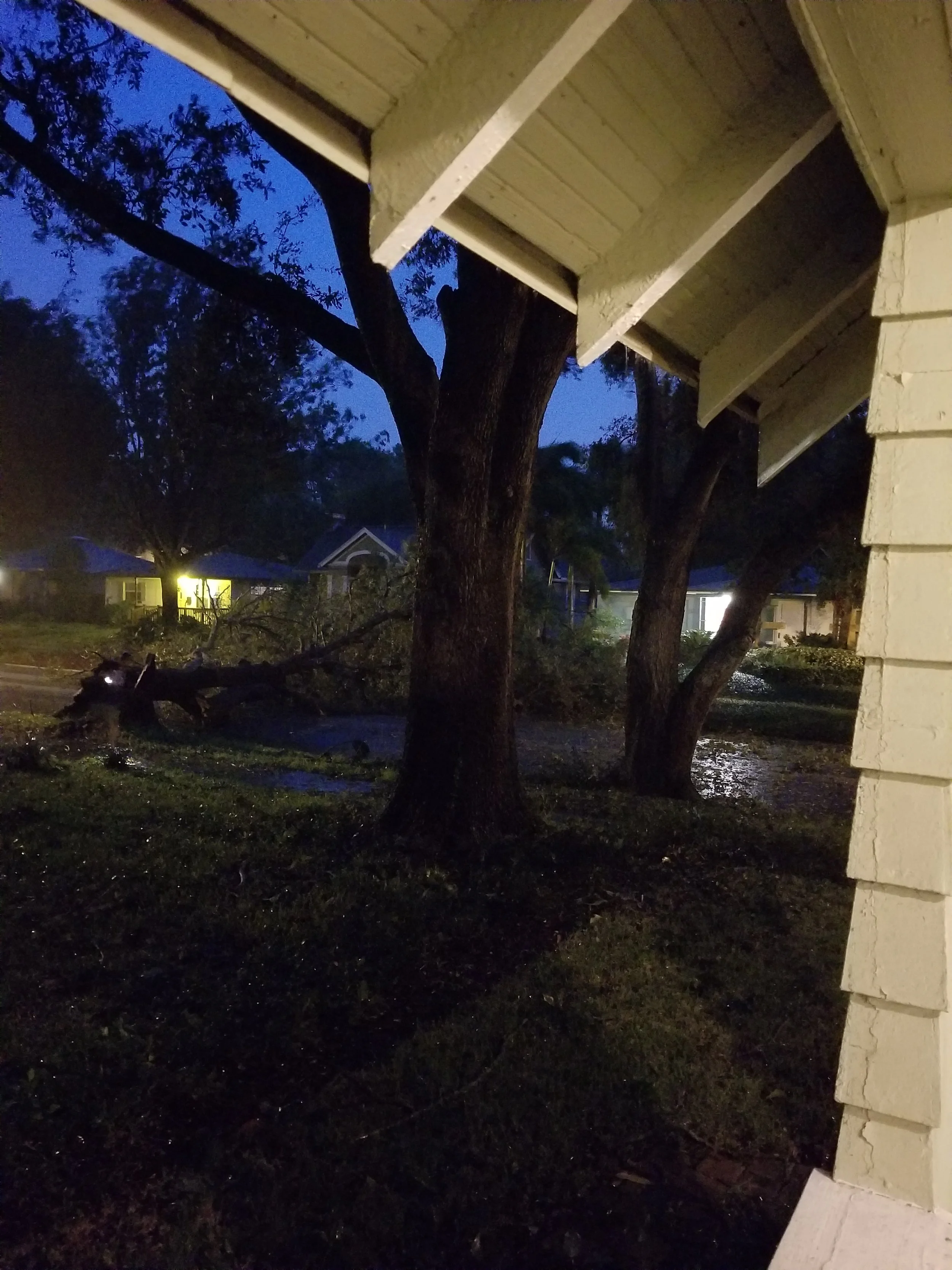 Tree falls during Irma view from our porch