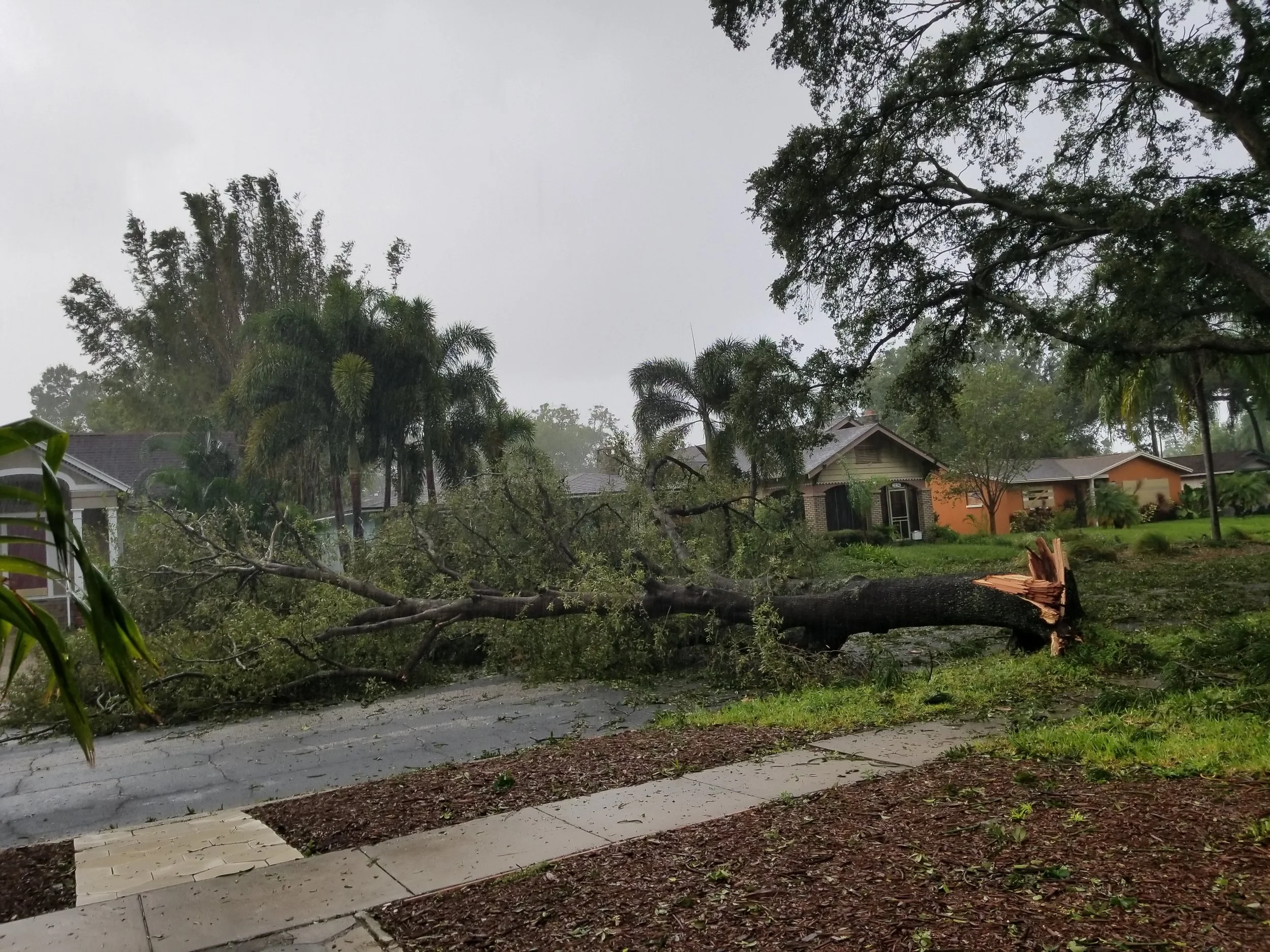 Next day after Irma