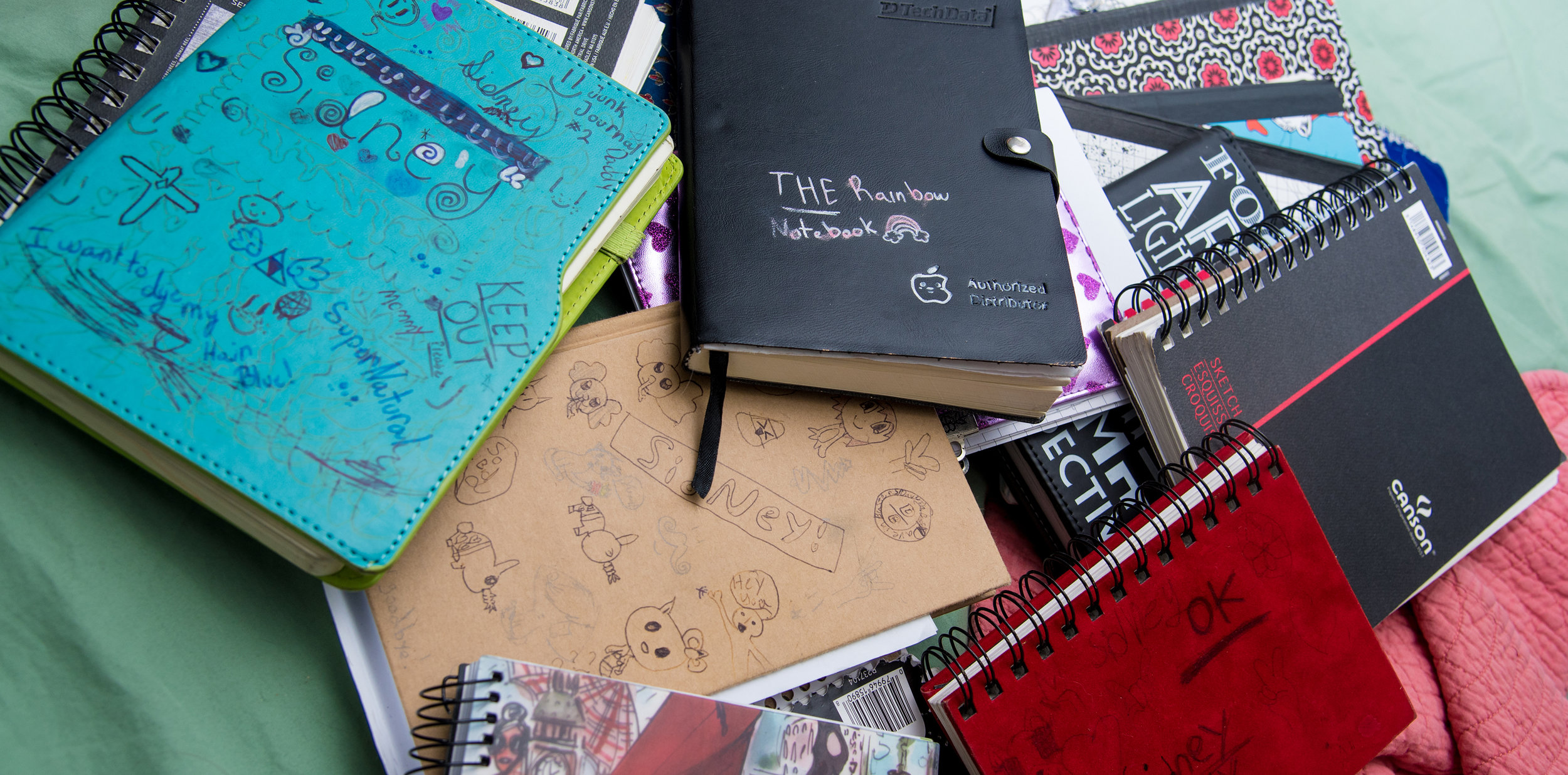 This is a small sampling of her growing sketchbook collection. There are many, many, MANY others. Every single page is covered in pencil and marker.
