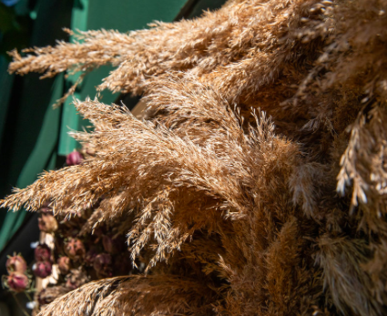 Screen Shot 2020-09-08 at 11.29.16 PM.png