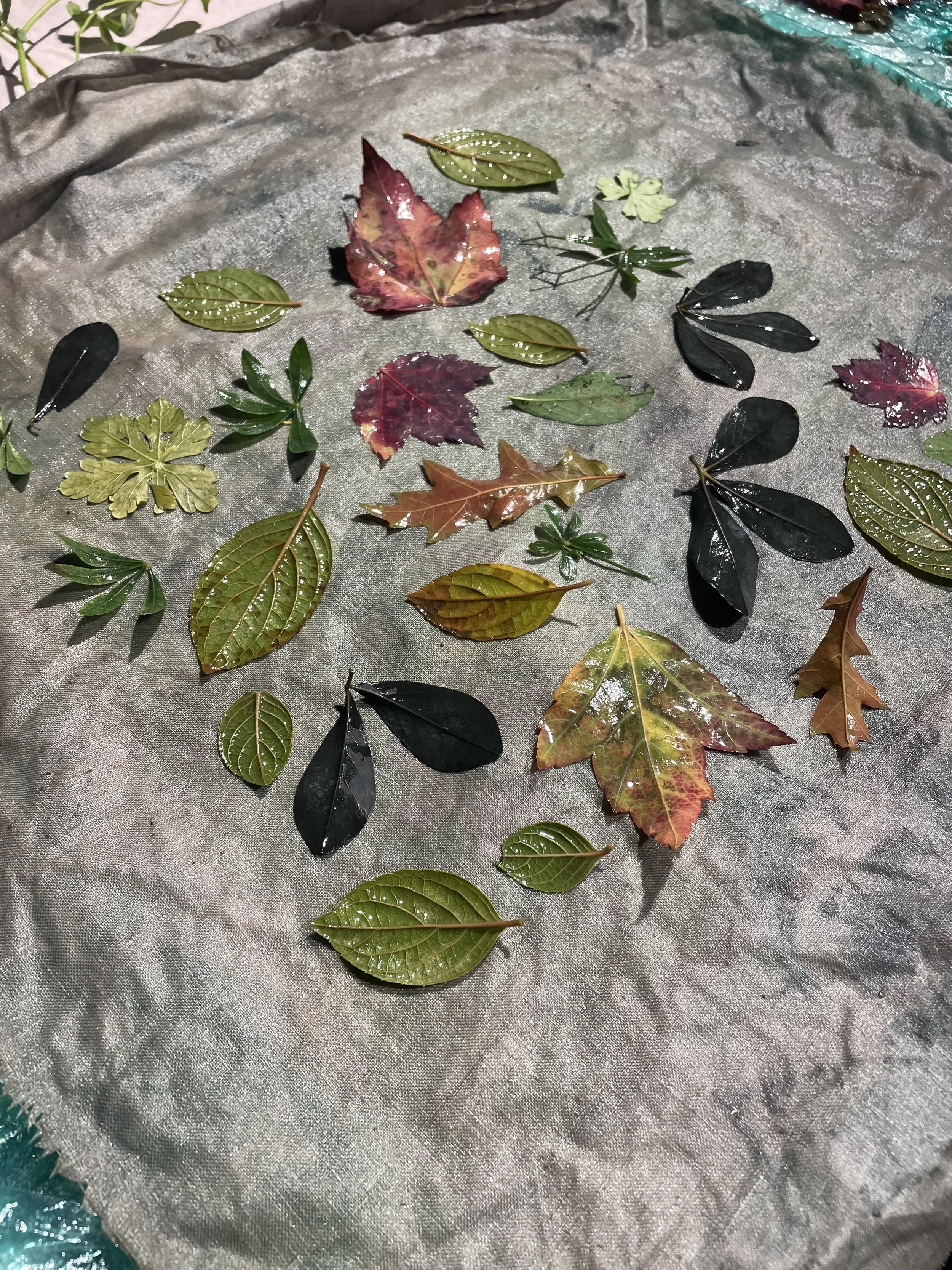 Eco Printing/ Session Three