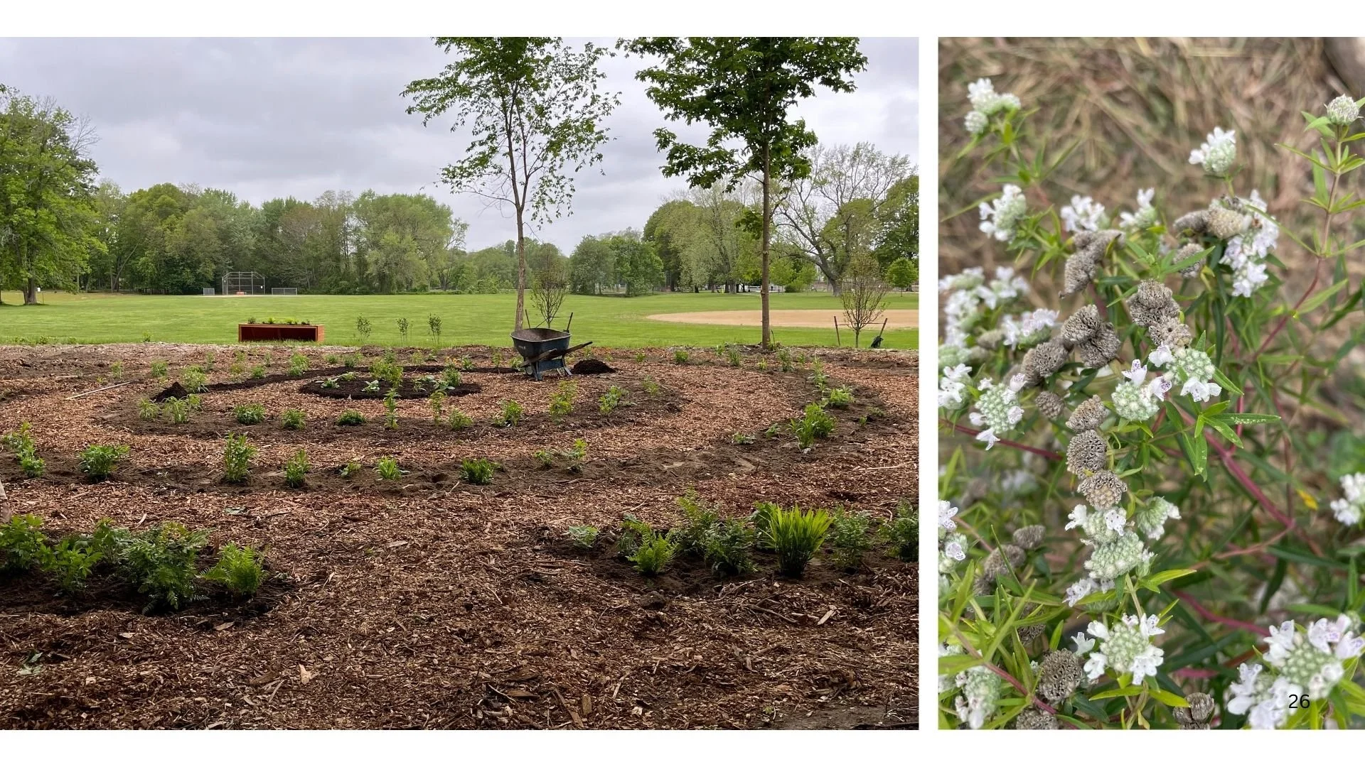 Riverside Park Eco Labyrinth