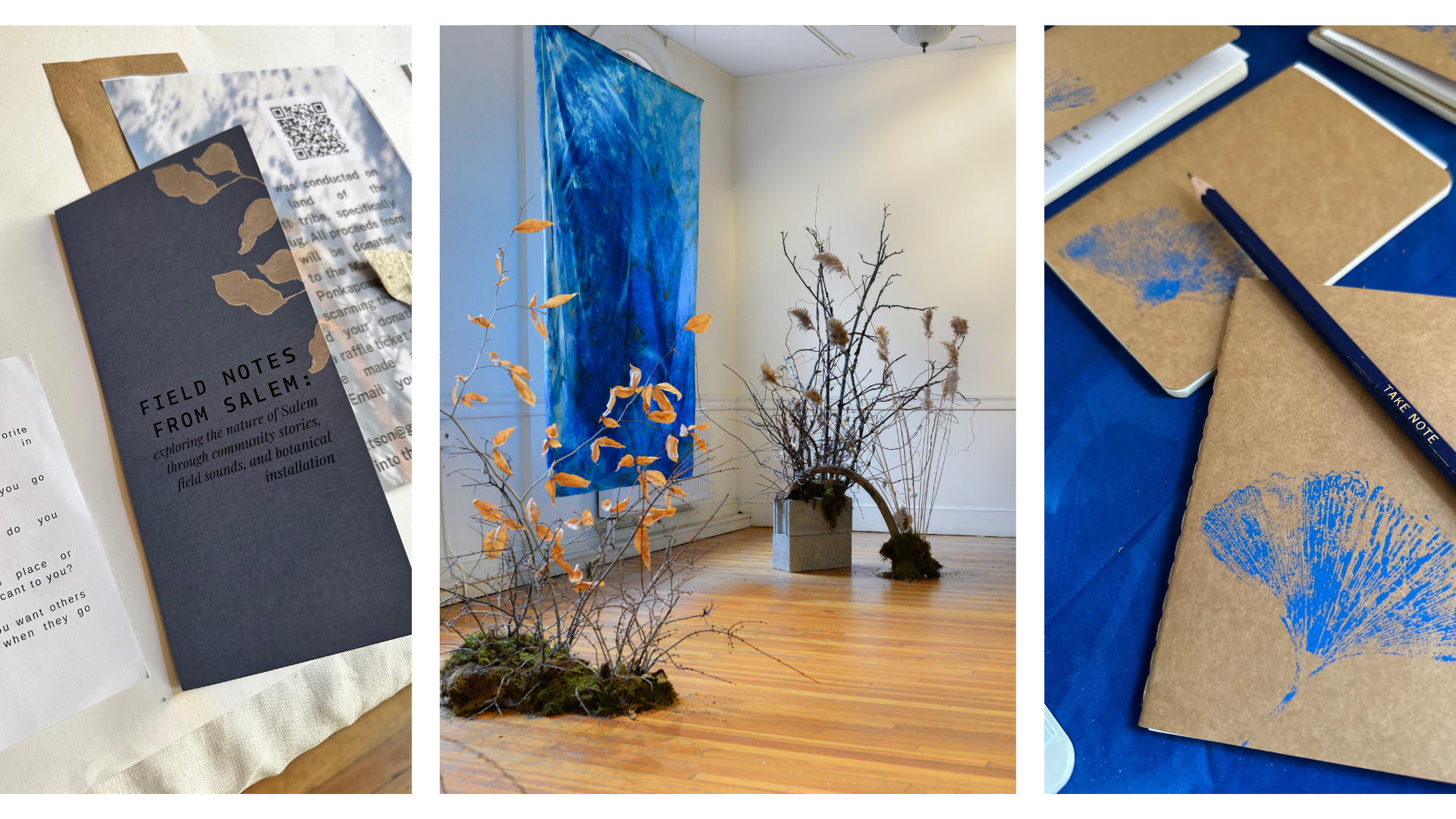 Field Notes from Salem