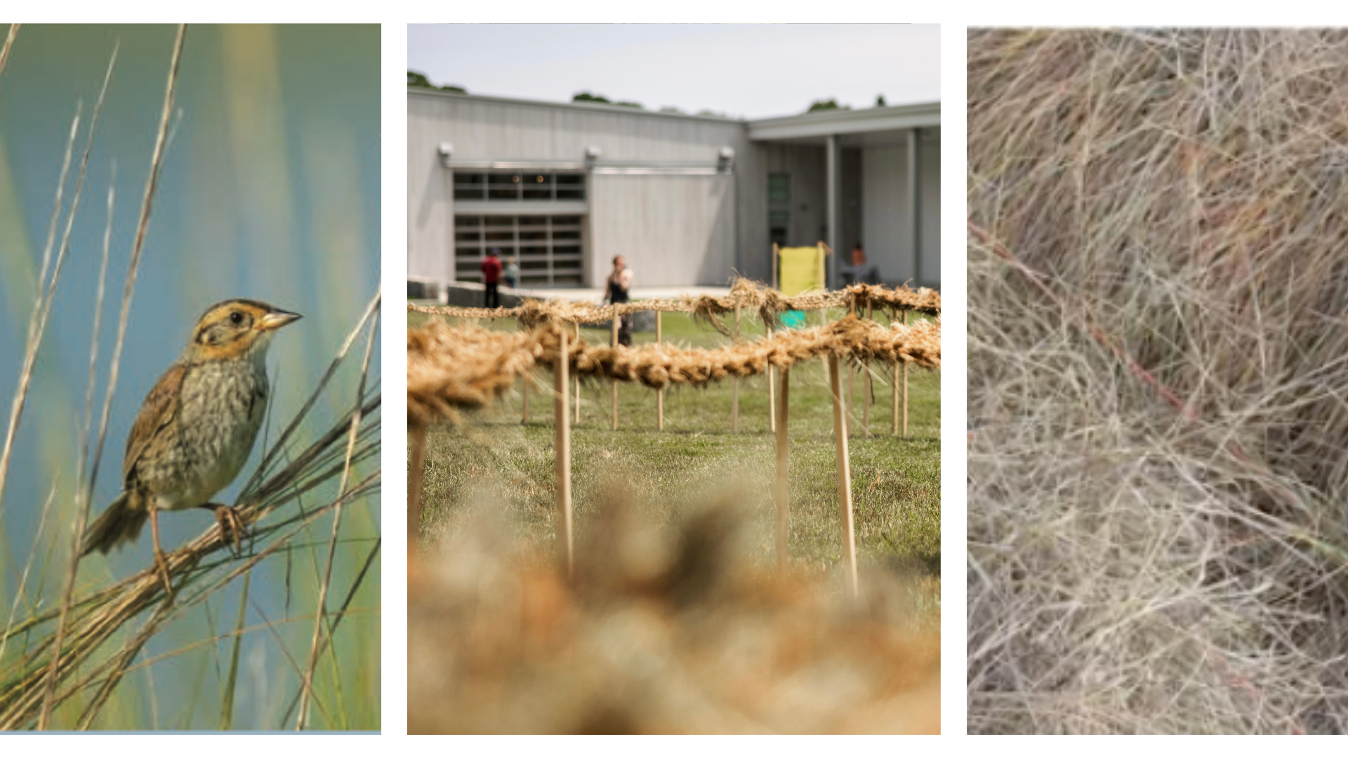 maiamattson.zip - Brand Identity (3).png