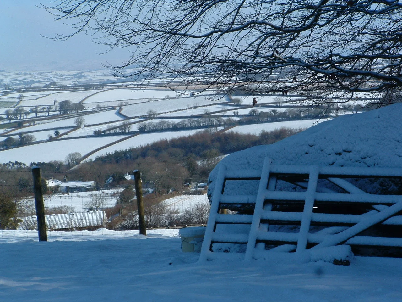 Winter at the Farm!