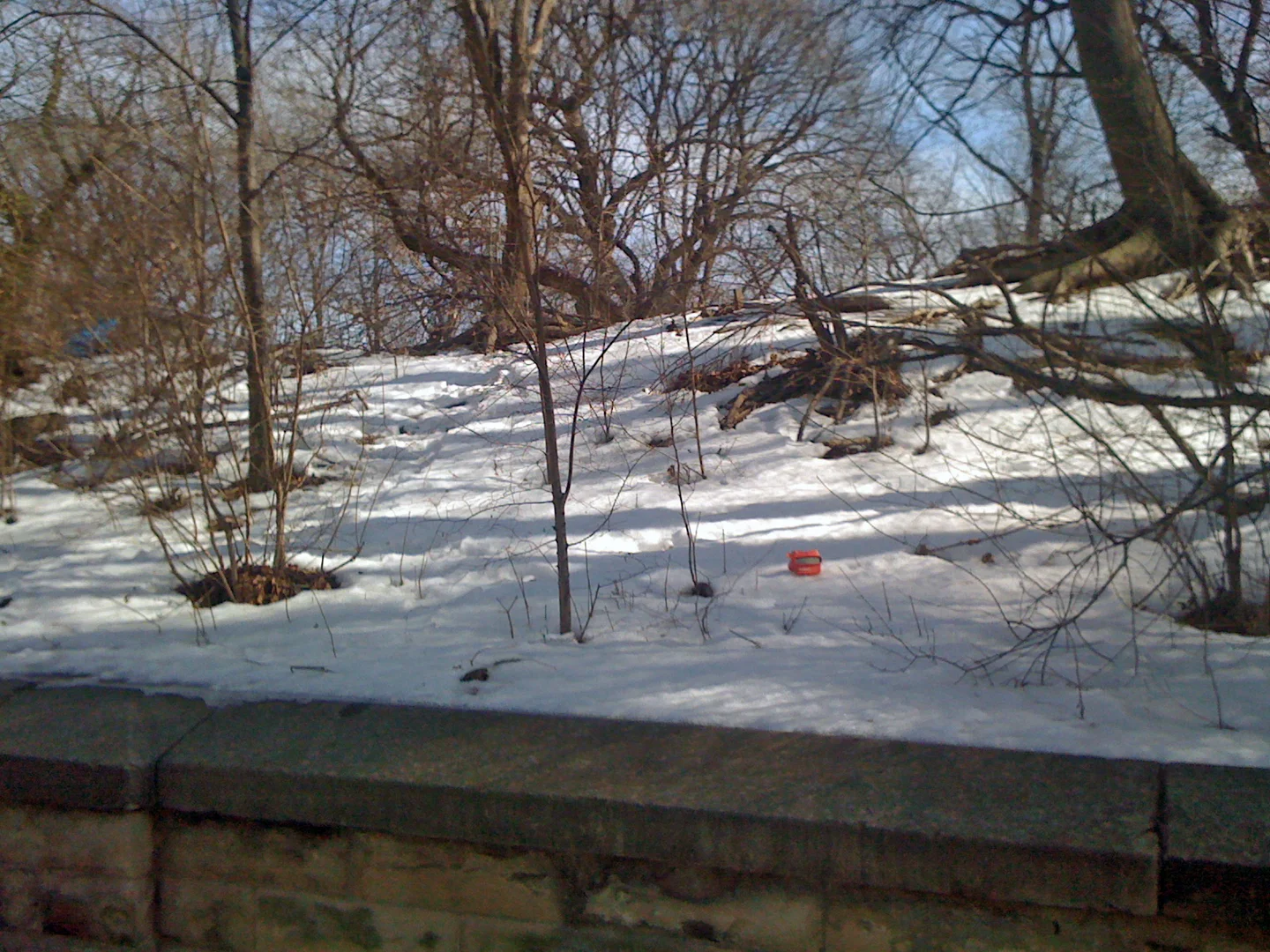 Prospect Park View Master