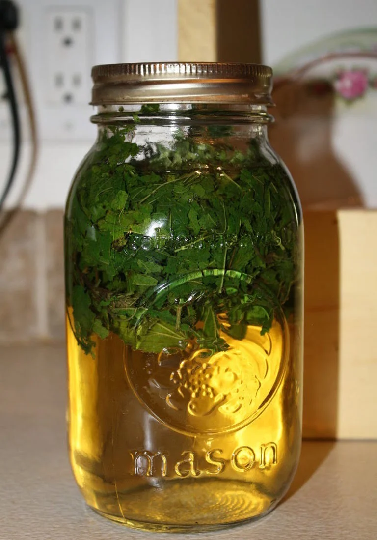 nettlemasonjar-768x1099.jpg