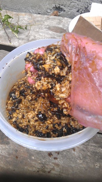 mouldy rice + equal weight in panela (sugar!)