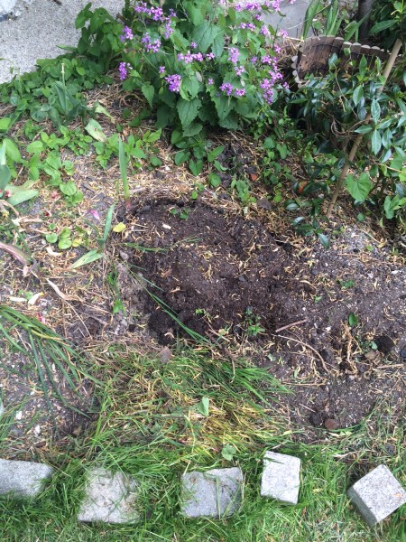 Before