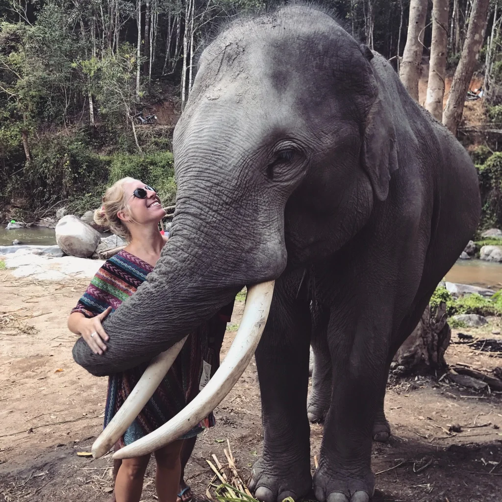 elephanthug.jpg