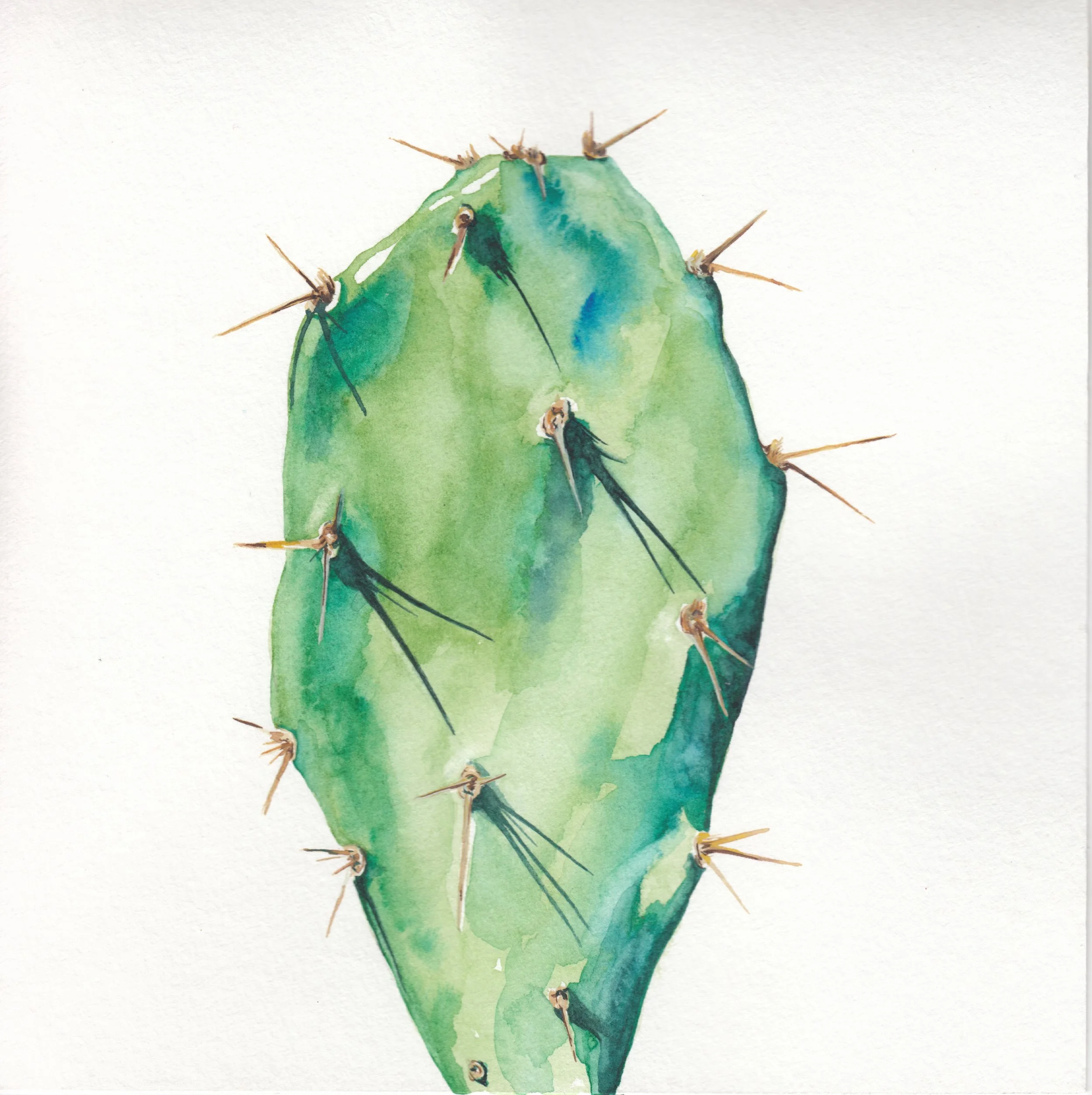 Prickly 8x8.jpeg