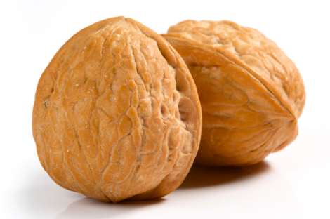 HEY THERE, IT'S ME, YOUR TESTICLES.