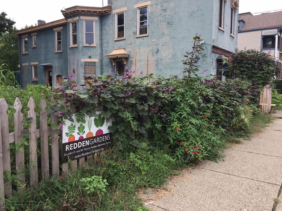 susan gardens 6.jpg