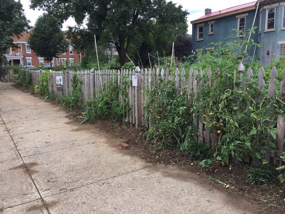 susan gardens 8.jpg