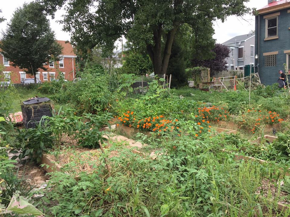 susan gardens 9.jpg