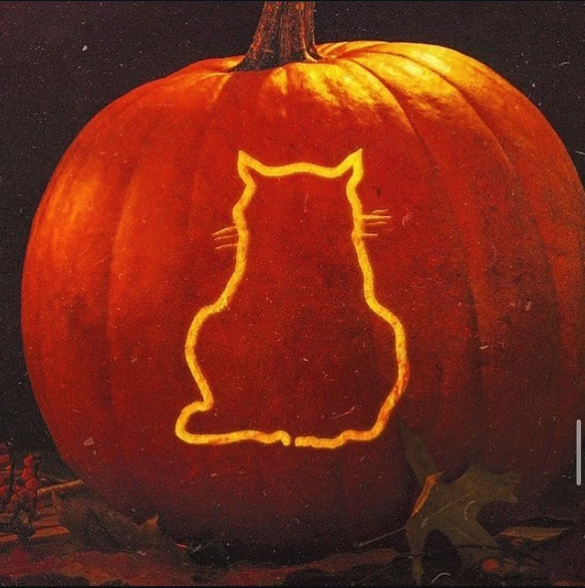 Bodega Cat reunion tonight at Southbound Smokehouse in N Augusta! DJ Coco kicks off the party at 8:30n