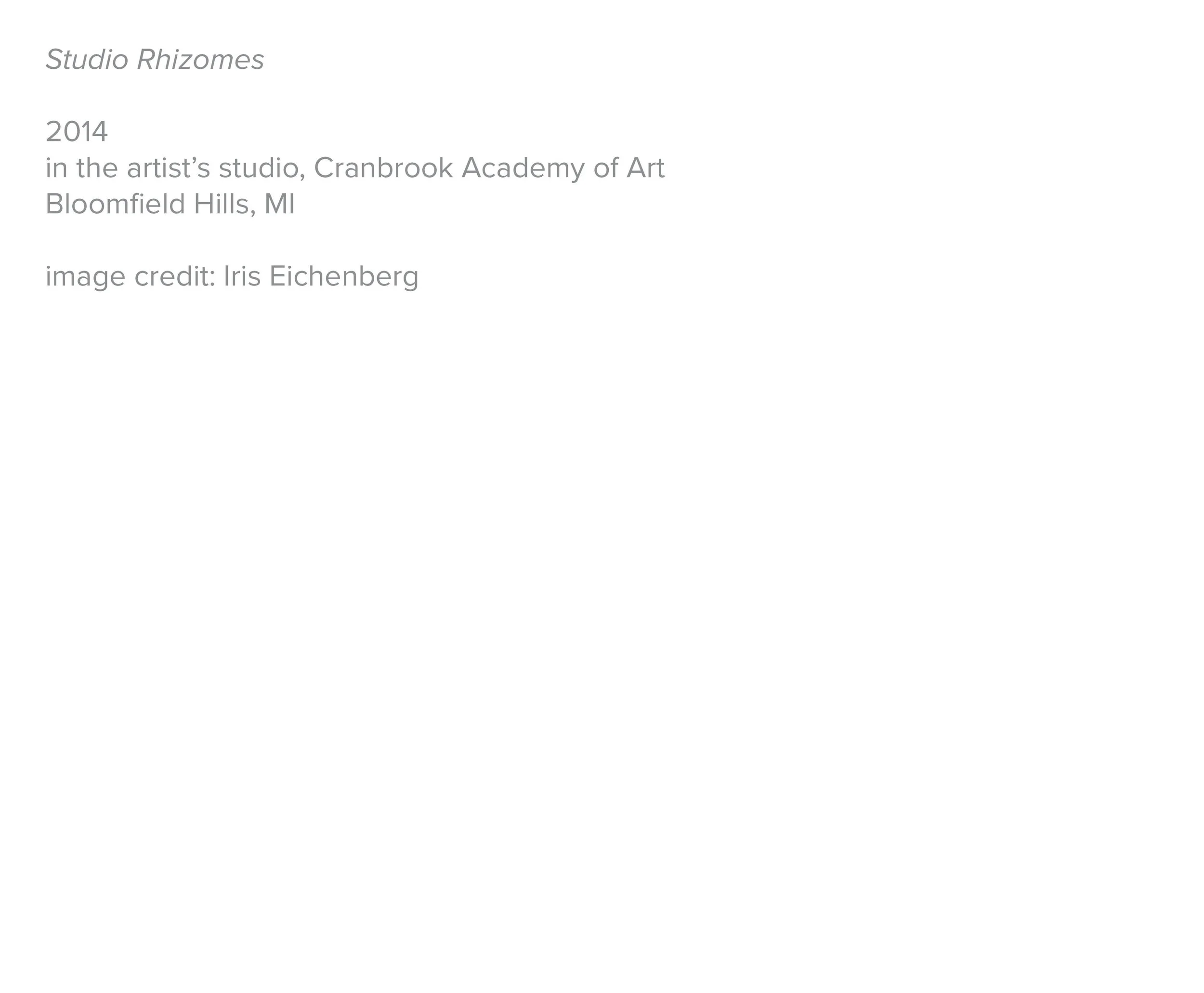 caption_studio_rhizomes_show.jpg