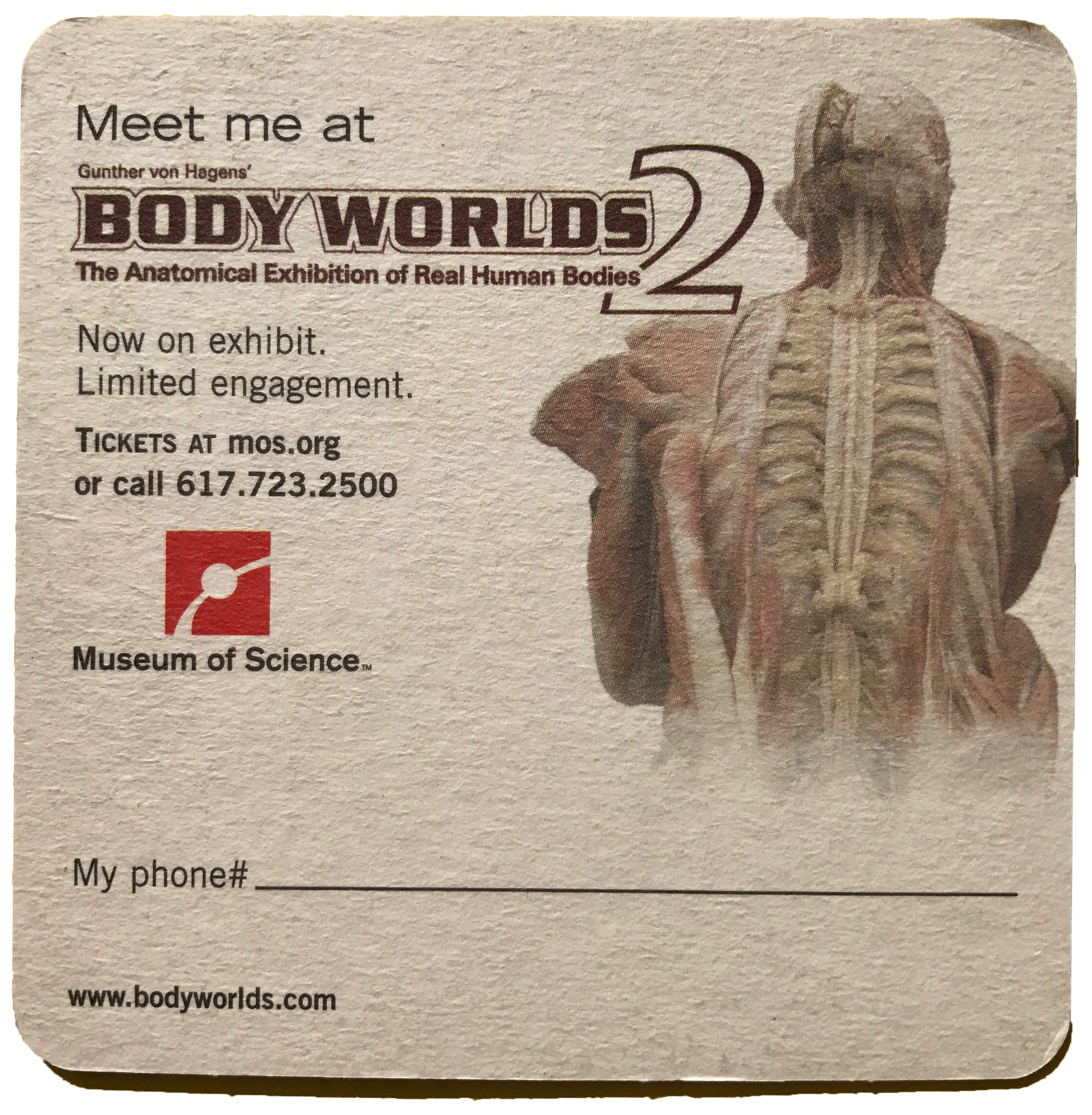 body worlds.png