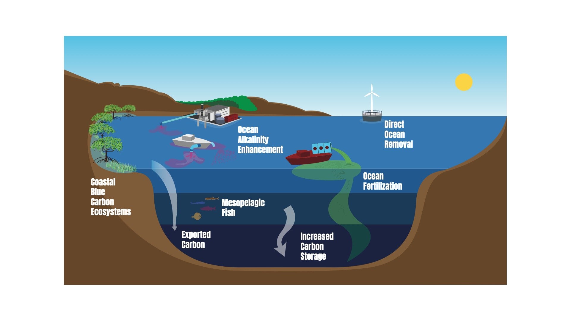 Environmental Defense Fund's Ocean-Based Carbon Removal Strategies Infographic 