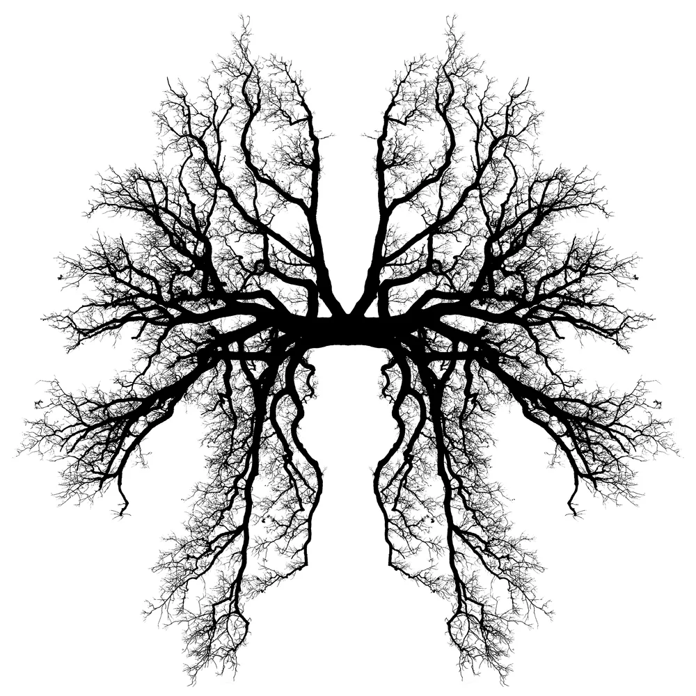 Rorschach001.jpg